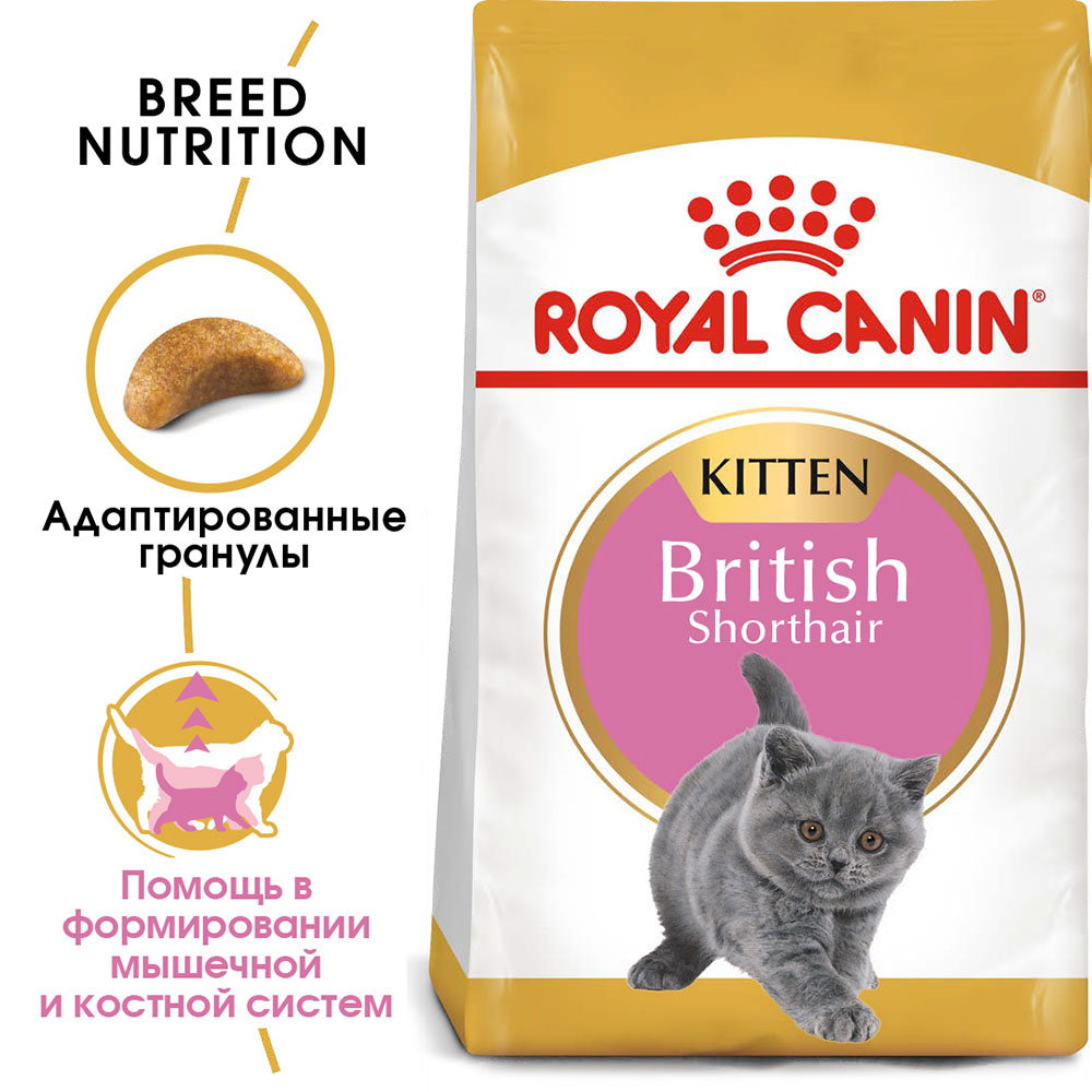Сухой корм Royal Canin British Shorthair Kitten для кошек и котят